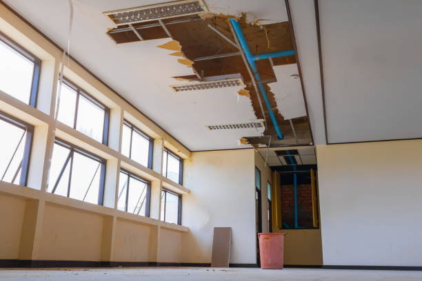  Monte Sereno, CA Water damage restoration Pros