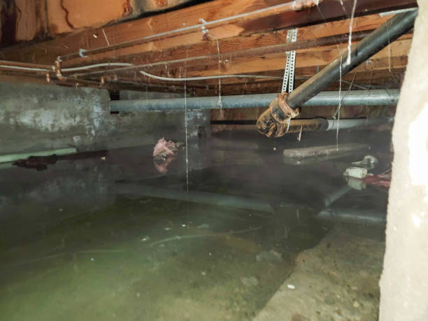 Best Water damage cleanup near me  in Monte Sereno, CA