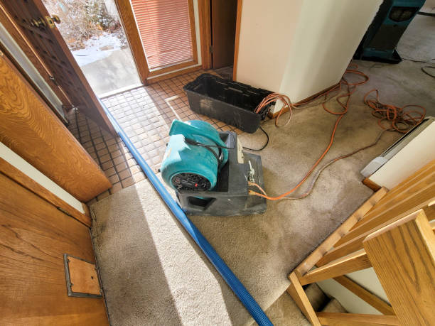 Best Water damage restoration specialists  in Monte Sereno, CA