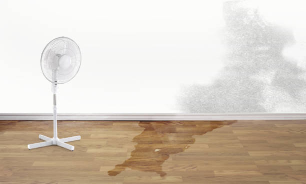 Best Water damage restoration services  in Monte Sereno, CA