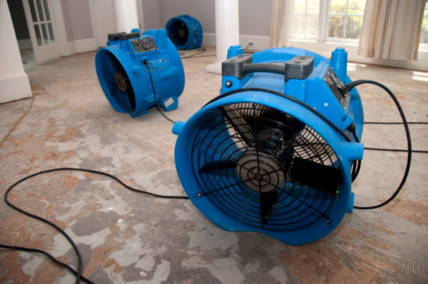 Monte Sereno, CA Water damage restoration Pros
