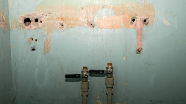 Best Water damage restoration near me  in Monte Sereno, CA
