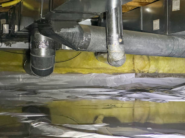 Best Basement water damage restoration  in Monte Sereno, CA