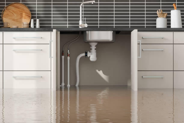 Best 24-hour water damage restoration  in Monte Sereno, CA