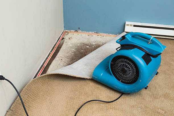 Best Water damage contractors near me  in Monte Sereno, CA